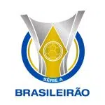 الدوري البرازيلي